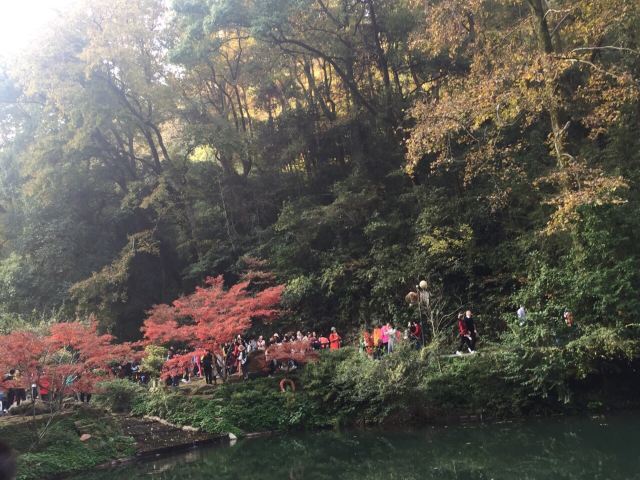 岳麓山