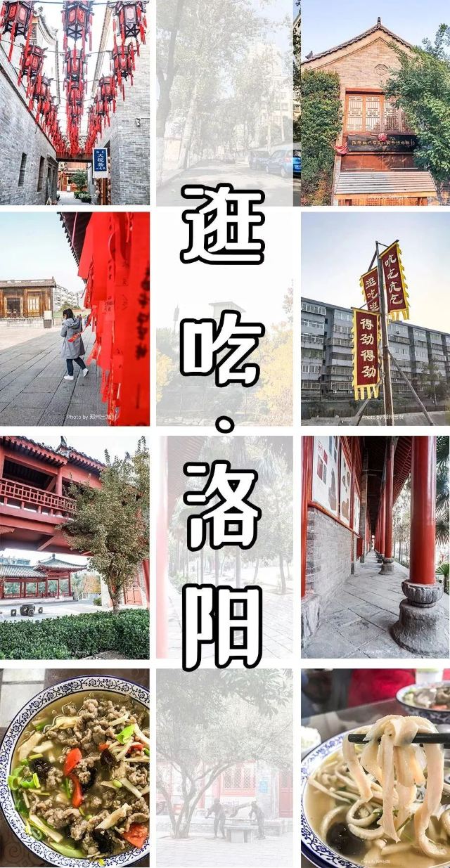 我想留在洛陽,不走了!