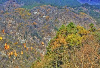 罗田大别山薄刀峰+三里畈温泉一日游 武汉往返|罗田必打卡G【全程中文/英文/俄语/小语种服务，沟通无障碍，景点可调,多种车型可选】