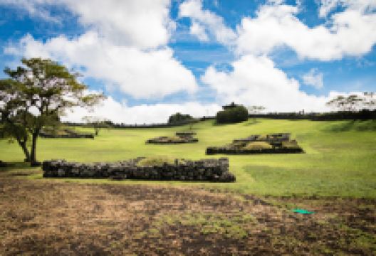 山君不离景点图片
