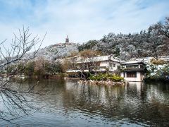 爬狼山游濠河，南通精华1日游