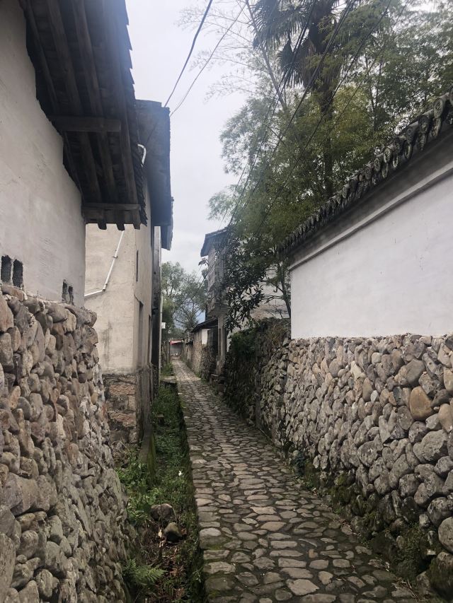 푸롱고촌