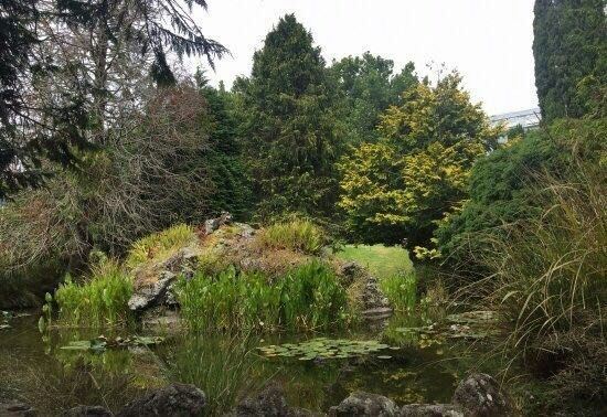 Auckland Domain