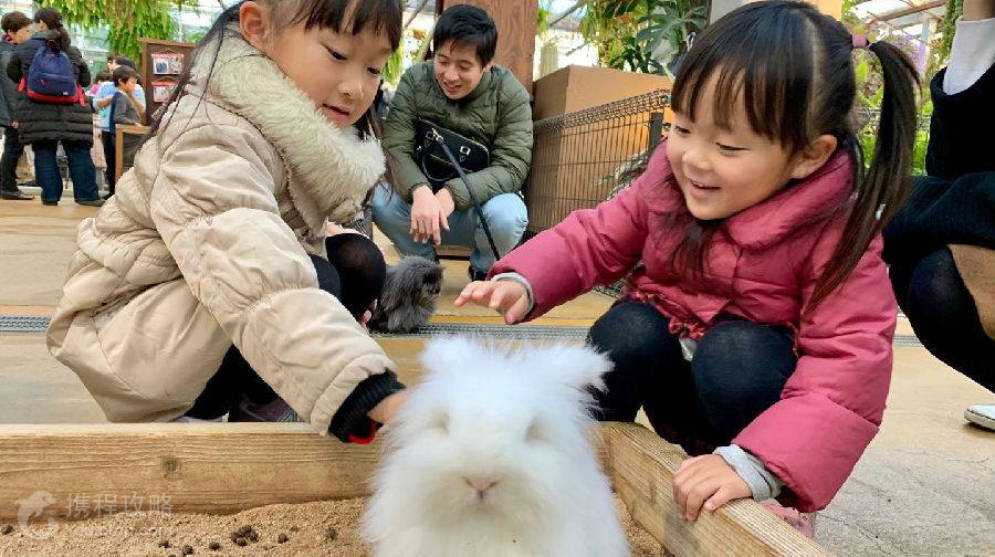 神戶動物王國