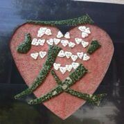 一张大脸王大锤