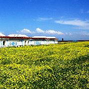 蕭蕭暮雨黃昏後