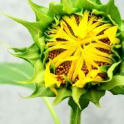 零归是我是归零