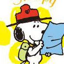 彬叔出去觅到彬婶了