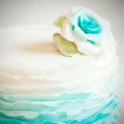 真子二分之一自然卷