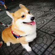 她可是乐妹妹啊