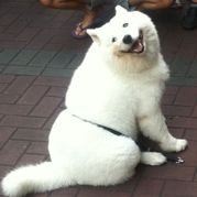 名人计算机咯呢