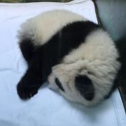 珊珊的童话世界