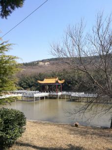 上窑森林公园-淮南-YoYo_4Z4U9O0K