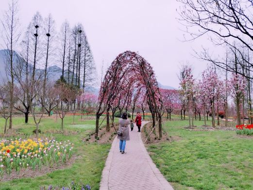 水湄花谷