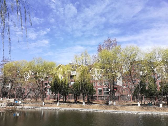 青年湖公园旅行图片 1