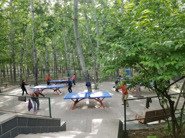 四得公园旅行图片 9