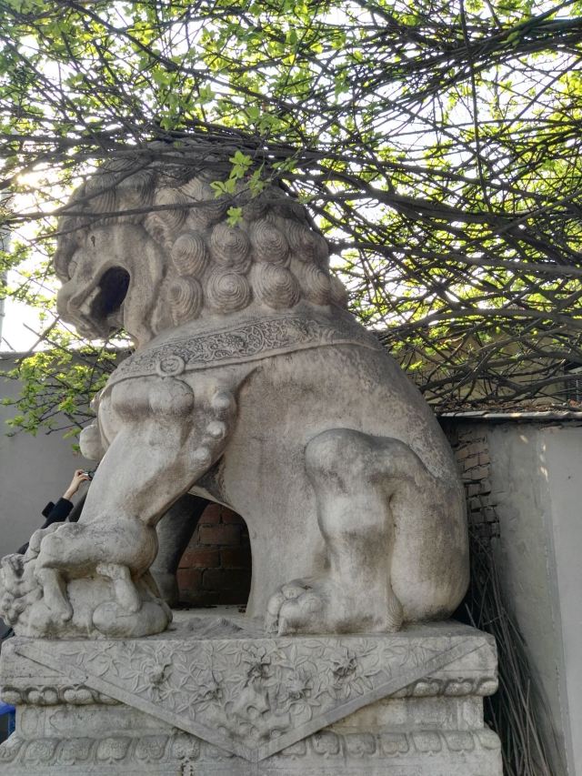 孚王府(不对外开放)旅行图片 15