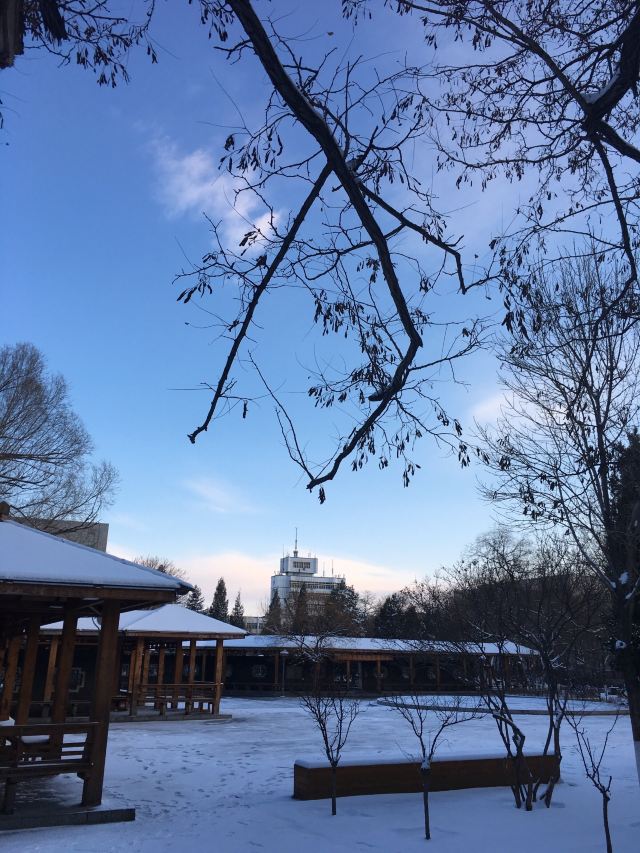 长青公园旅行图片 1