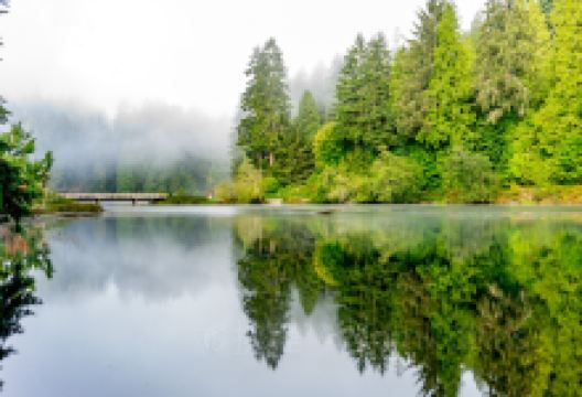 Lake Sylvia State Park景点图片