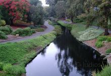 UC Davis Arboretum and Public Garden景点图片