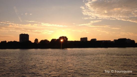 De Schelde