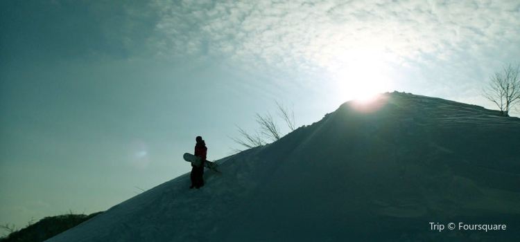 Snow Wave Park Shiratori Kogen Tickets Deals Reviews - 