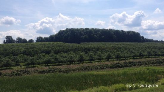 Barnes Park Travel Guidebook Must Visit Attractions In Antrim