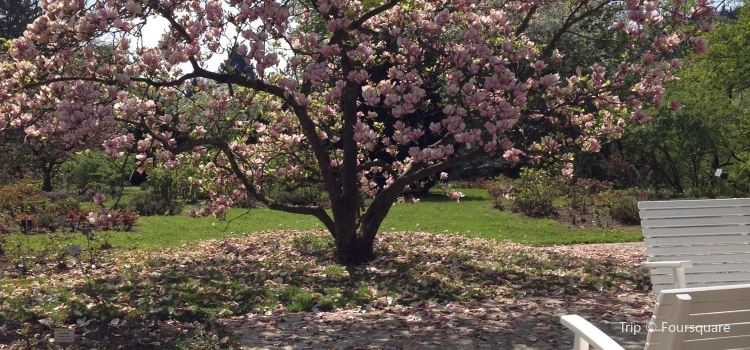 Botanischer Garten Travel Guidebook Must Visit Attractions In