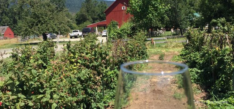 Saginaw Vineyard Travel Guidebook Must Visit Attractions In Lane