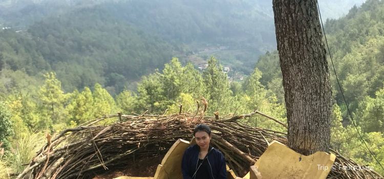 Taman Langit Gunung Banyak Tickets Deals Reviews Family