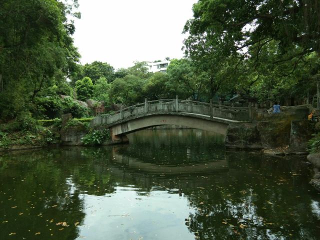 东莞人民公园旅行图片 2