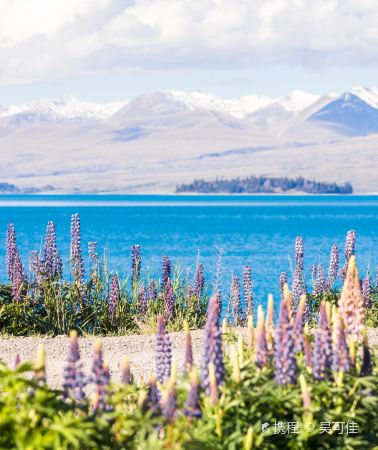 9D8N • New Zealand South Island Midline + East Coast + Small Loop Tour