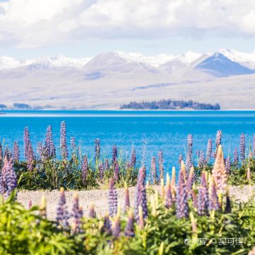 新西兰+南岛+北岛14日12晚私家团