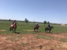 苏泊罕大草原旅游景区-伊金霍洛旗-YoYo_8K6E8U5W