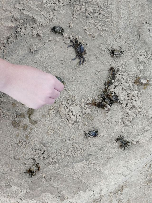 壇南灣海濱浴場