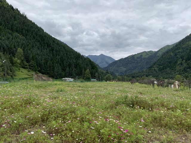 達古冰山地質公園