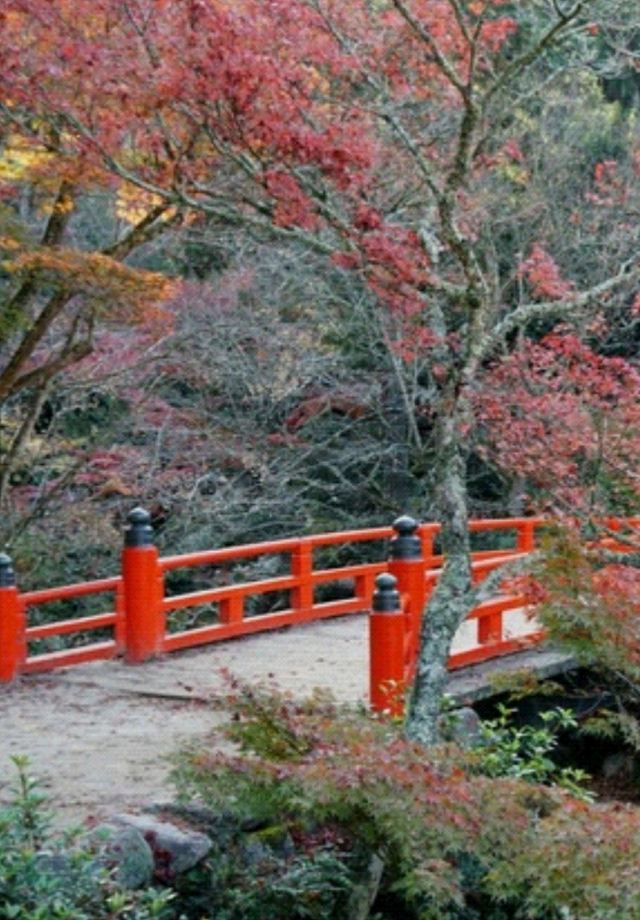 Momijidani Park Attractions Hiroshima Travel Review Travel Guide Trip Com