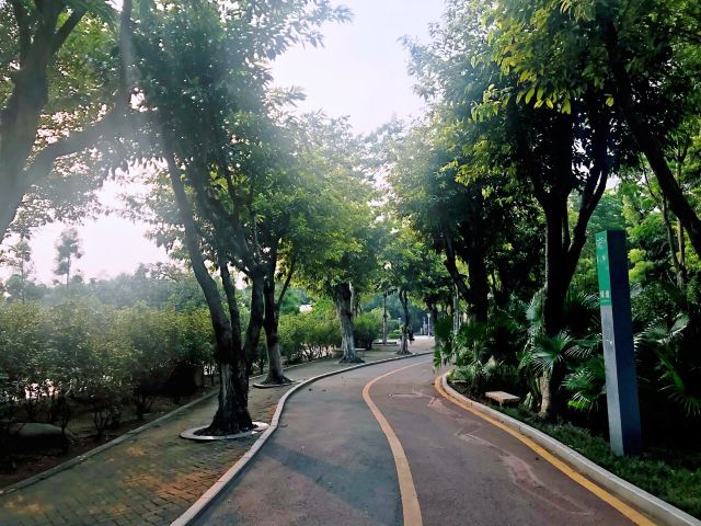 北滘公园旅行图片 3
