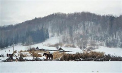 五常游记图片] 十月的黑龙江-难忘的雪谷之行，让我们手牵手一起来玩雪！