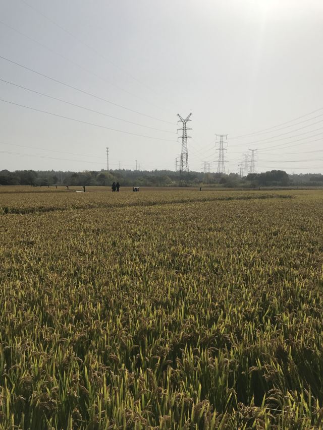 郭兴庄园旅行图片 1