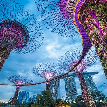 新加坡+马来西亚乐高乐园7日6晚自由行