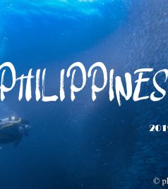 莫阿尔博阿尔游记图文-菲律宾丨海底两万里，坠入深蓝