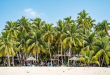 东郊椰林风景区景点图片