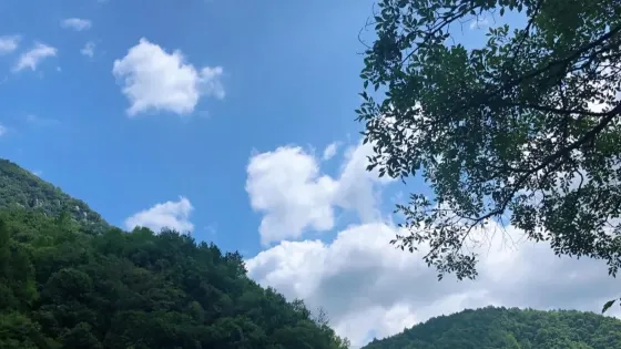 吳家山森林公園