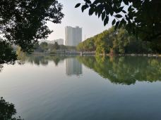 药都公园-樟树-_WeCh****407305