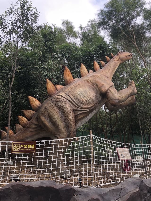 阳江福兴松鼠王国乐园