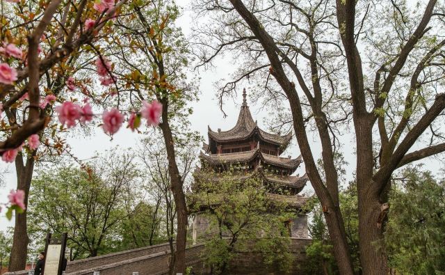 文峯木塔旅行图片 4