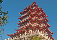惠州西湖+水东街+合江楼+惠州博物馆+惠州市植物园+白鹤峰东坡祠一日游【独立纯玩小团/暑假家庭出游好去处】