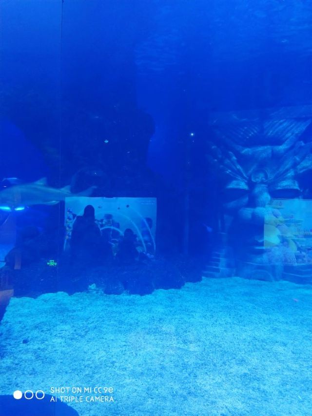 Changfeng Ocean World
