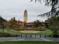 斯坦福大学-斯坦福-YoYo_7R2G2V2Z